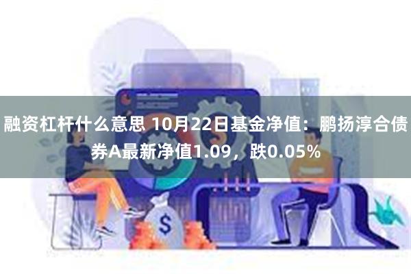 融资杠杆什么意思 10月22日基金净值：鹏扬淳合债券A最新净值1.09，跌0.05%