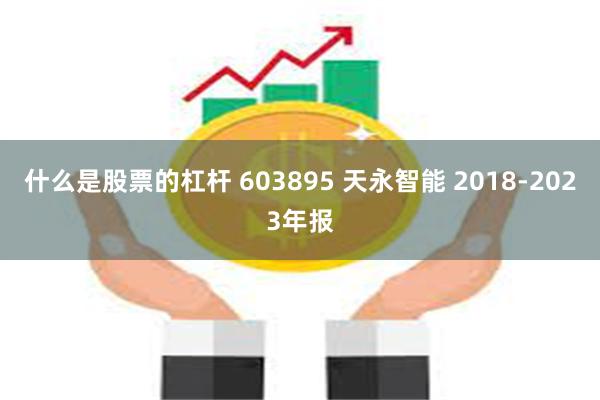 什么是股票的杠杆 603895 天永智能 2018-2023年报