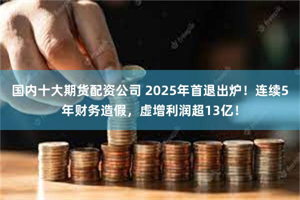 国内十大期货配资公司 2025年首退出炉！连续5年财务造假，虚增利润超13亿！